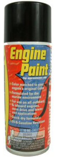 Mercury Engine Paint -Black
